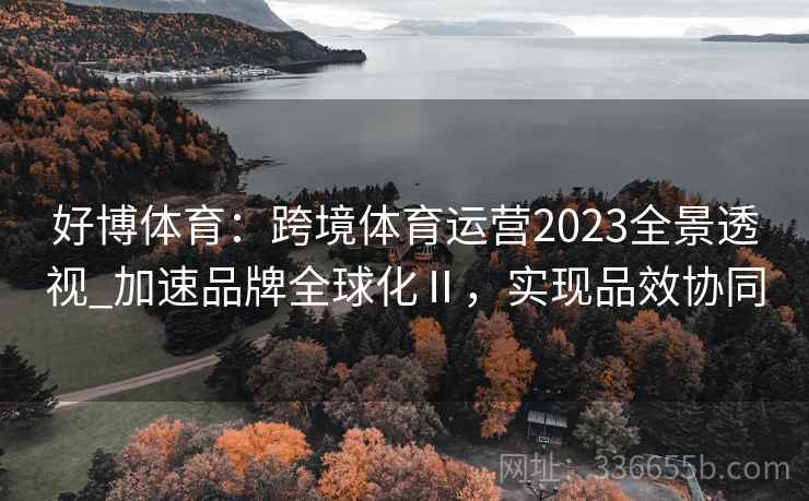 好博体育：跨境体育运营2023全景透视_加速品牌全球化Ⅱ，实现品效协同