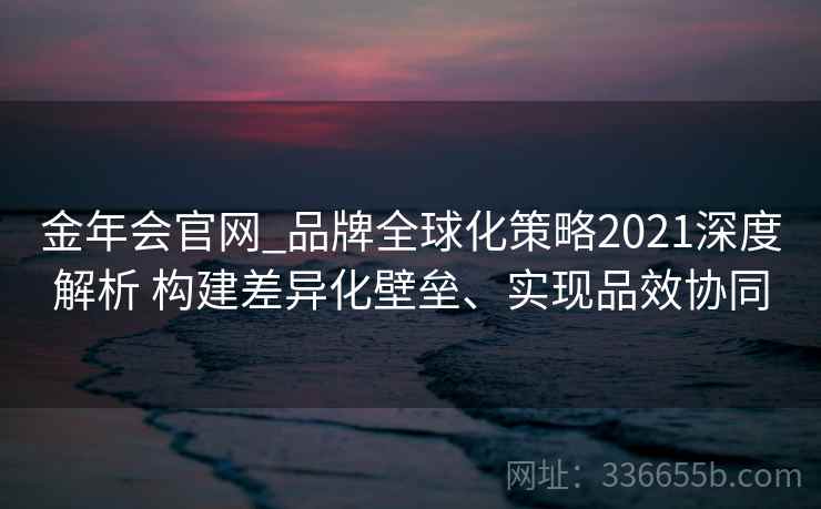 金年会官网_品牌全球化策略2021深度解析 构建差异化壁垒、实现品效协同