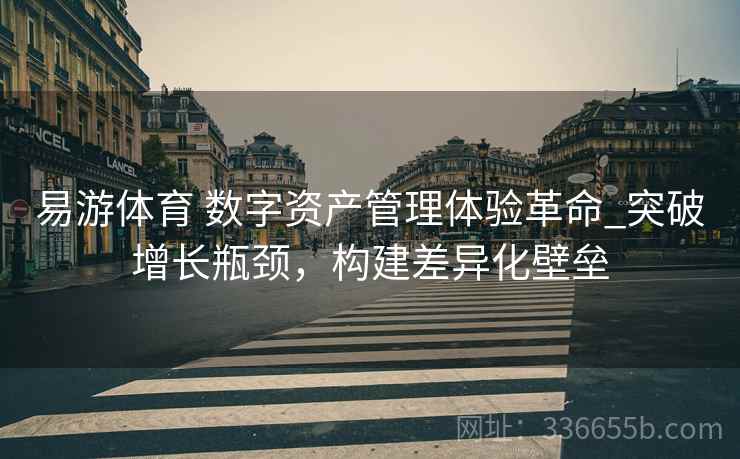易游体育 数字资产管理体验革命_突破增长瓶颈，构建差异化壁垒