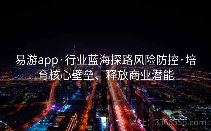 易游app·行业蓝海探路风险防控·培育核心壁垒、释放商业潜能